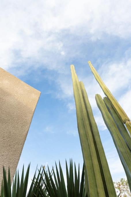 Desert Princess Villa Palm Springs Area Cathedral City Luaran gambar