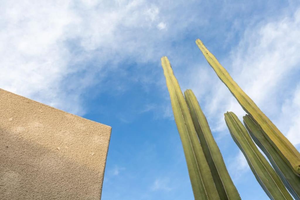 Desert Princess Villa Palm Springs Area Cathedral City Luaran gambar